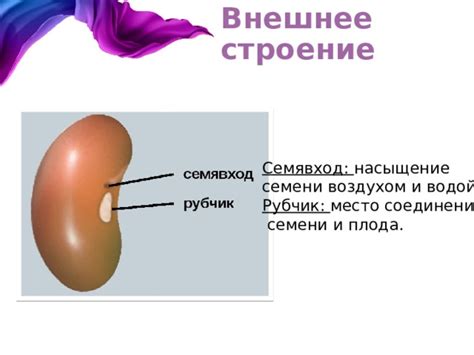  Насыщение плетенки водой 