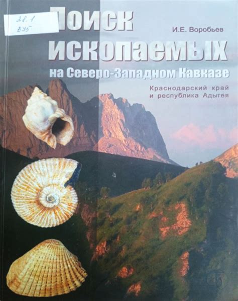  Невыявленные перспективы тропического юга: поиск драгоценностей на Кавказе 