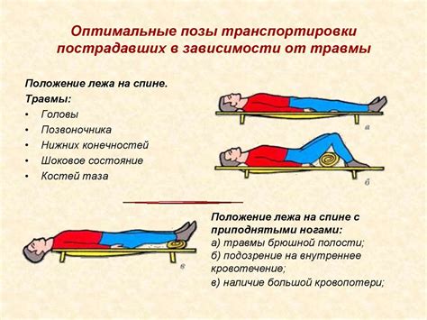  Оптимальное положение тела при работе или учебе: преимущества внедрения сертифицированных амортизирующих изделий 