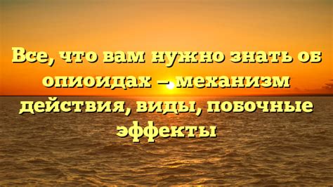  Основные различия препаратов и их воздействие на организм
