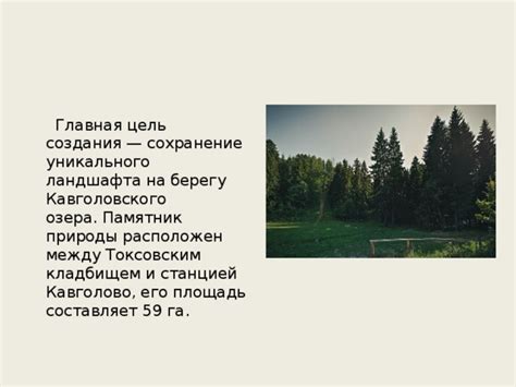  Особенности уникального ландшафта и растительного мира на берегах величественной реки 