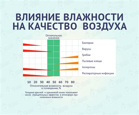  Плохая влажность в помещении: проблема для сна и здоровья растений 