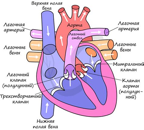  Подготовка к молитве: состояние сердца и тела 