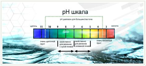  Потенциальные проблемы с pH и жесткостью воды 