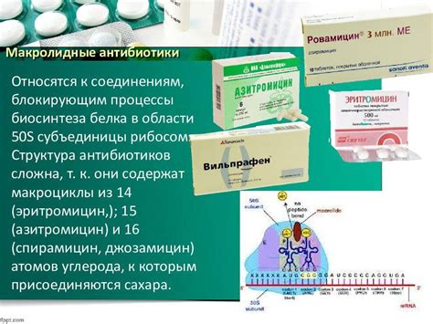  Принцип действия пролонгированного Клацида: основные аспекты и эффекты 