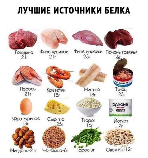  Продукты, в которых содержится белок, оказывающийся казеином
