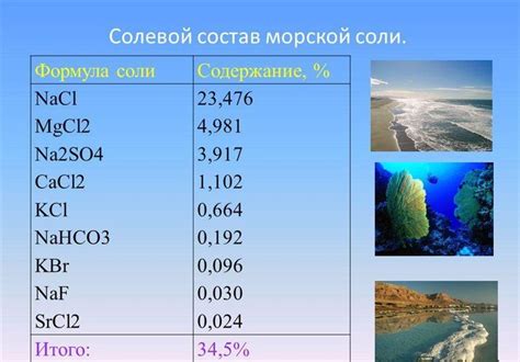  Происхождение и состав воды в Черном море