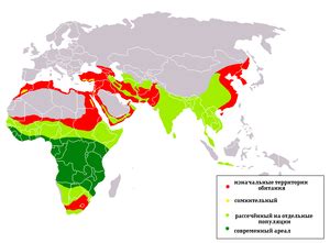  Распространение и местообитания
