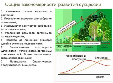  Роль подтопольника в экосистеме 