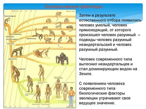  Роль разумного существа в процессе эволюции 