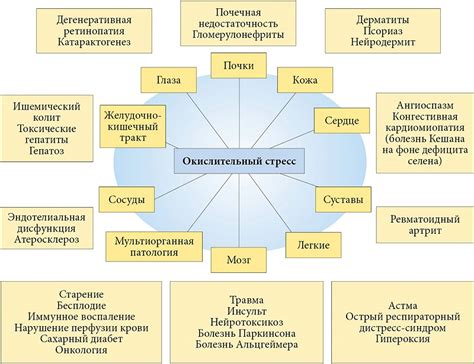  Роль стресса в формировании некоторых заболеваний: обнаруженные данные и статистика 