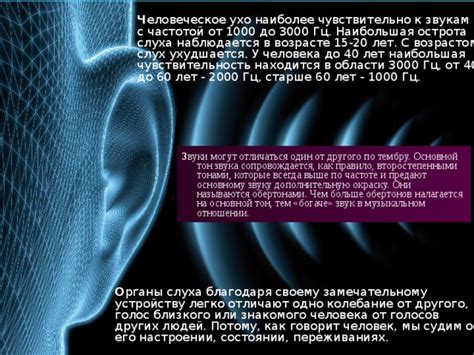  Успех благодаря природным звукам: от психологического консультанта до масштабного медийного проекта 