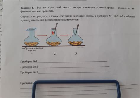  Физиологические процессы, регулируемые темной веществом
