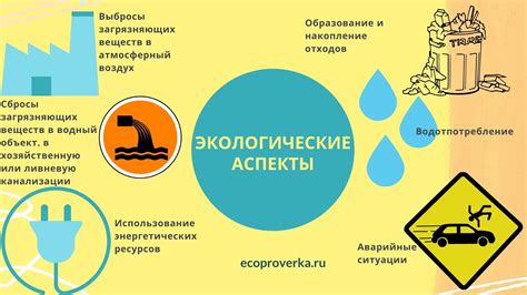  Экологические аспекты переработки изношенных верхних пальто в городе Пермь 